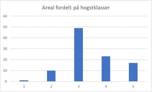 Hogstklasser_22